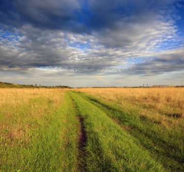 Kırsal toprak yol bozkır içinde 