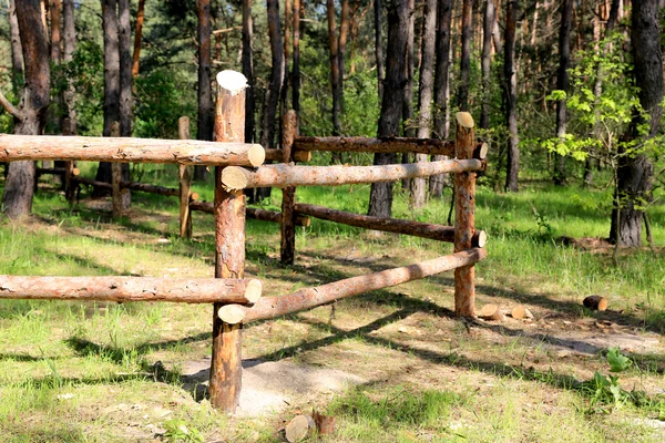 Деревянный забор в сосновом лесу — стоковое фото
