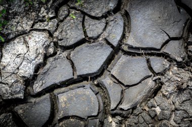 Kırık Dünya yüzeyinde