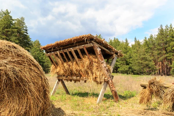 Кормушка с сухим сеном — стоковое фото