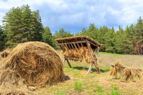 Кормовая стойка с сухим сеном для диких животных — стоковое фото