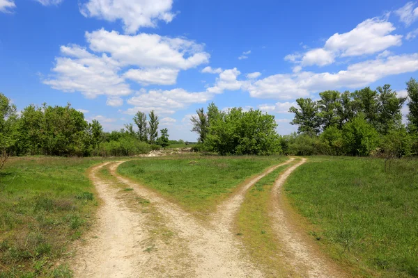 Çatal rut yollarda çayır — Stok fotoğraf