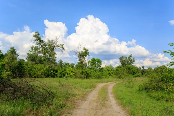 Sleur weg in de steppe — Stockfoto