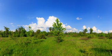 Yeşil bahar çayır