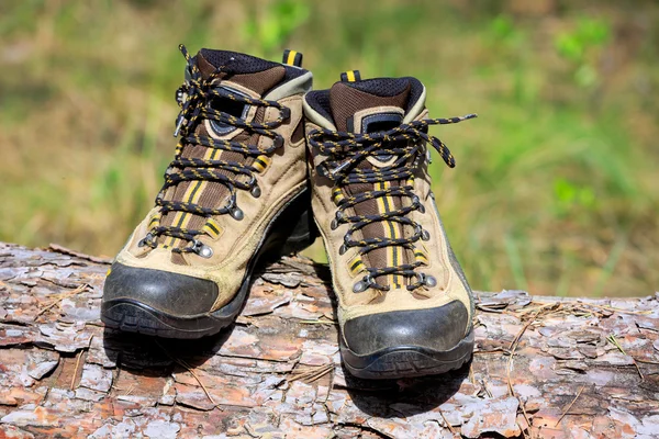 Botas de caminhantes no log — Fotografia de Stock