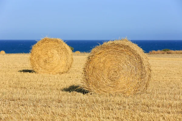 Mavi gökyüzü altında saman rulo