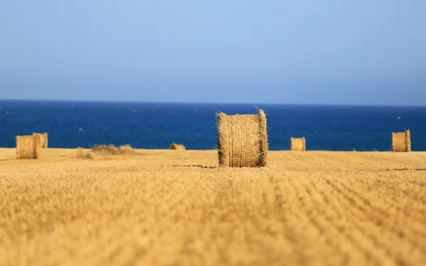 Rueda de heno en el campo contra el mar — Foto de Stock