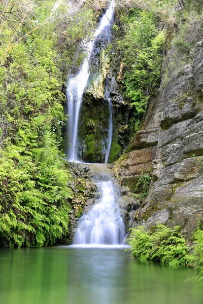 Piccola cascata di acqua nella foresta — Foto Stock