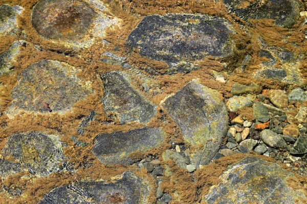 Su taşları — Stok fotoğraf