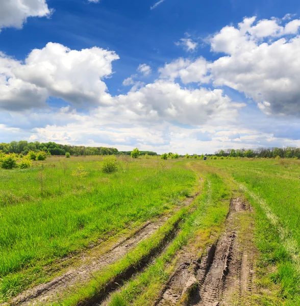 Chemin de terre dans la steppe — Photo