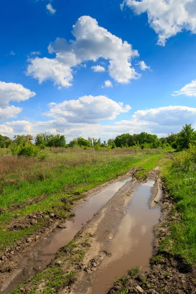 Rut road with puddles in steppe — Stock Photo, Image