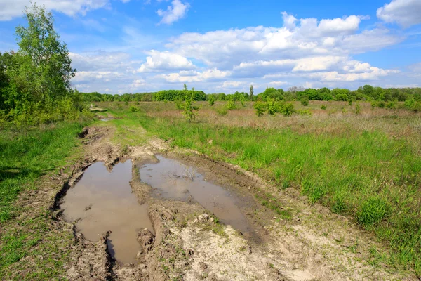 Puddles in rut road in steppe — Stock Photo, Image