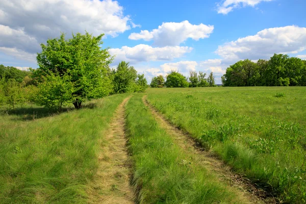 Estrada rural em estepe entre grama verde — Fotografia de Stock