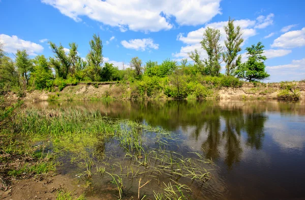 Trevlig sommar landskap med flod — Stockfoto