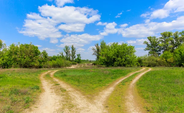 Routes de bifurcation sur prairie verte — Photo