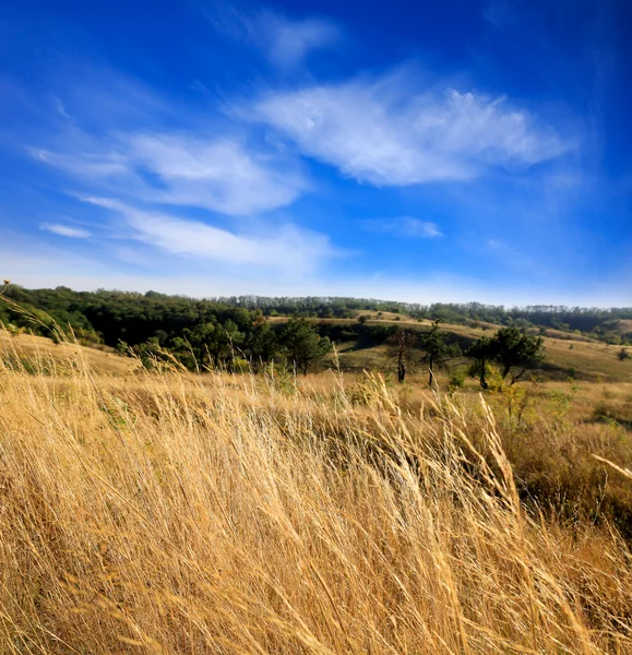 Sunny sonbahar günü bozkır içinde — Stok fotoğraf