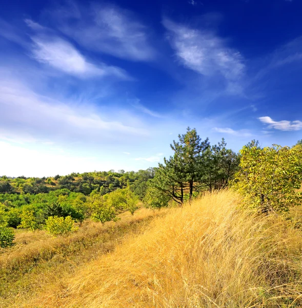 Giorno di autunno in steppa — Foto Stock