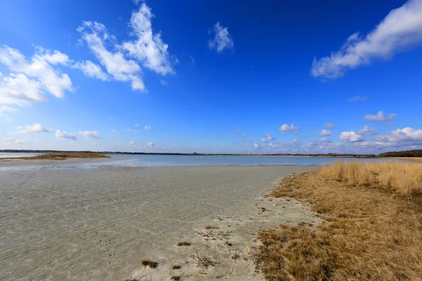 Scène van de zomer op de oever van het meer — Stockfoto