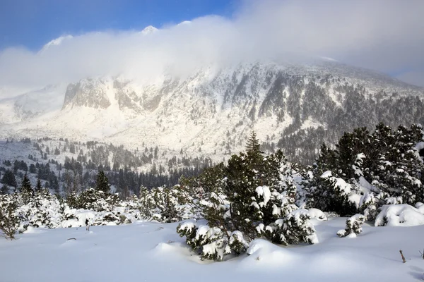 Paisaje invernal en las montañas Tatra — Foto de Stock
