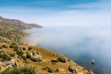 Deniz ve su üzerinde sis