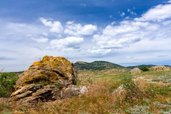 Старый камень на горном лугу — стоковое фото