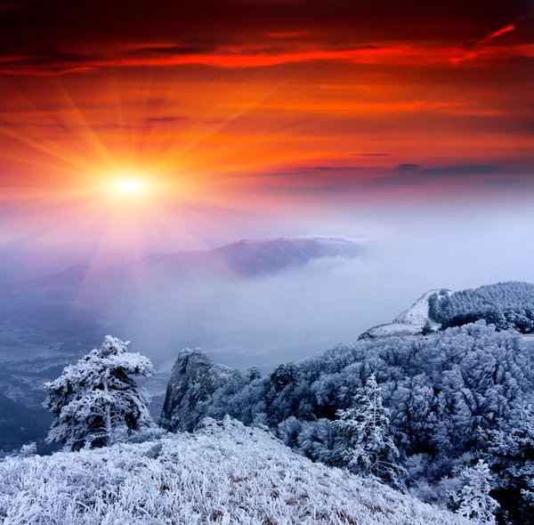 De zonsondergang scène van de winter in de bergen — Stockfoto