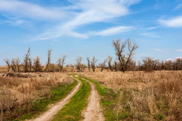 Schmutzige Straße auf der Frühlingswiese — Stockfoto