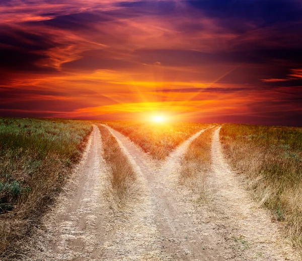 Fork roads in steppe on sunset sky background — Stock Photo, Image