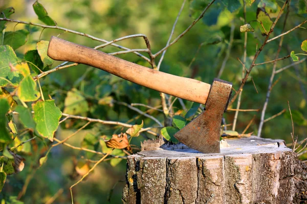 Axe on tree stump in forest — Stock Photo, Image