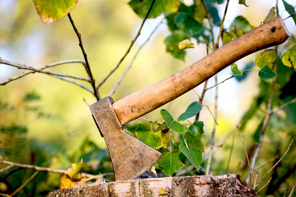 Hache sur souche en bois — Photo