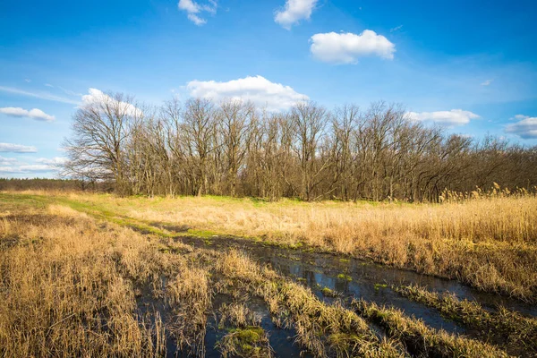 Paysage Ensoleillé Avec Sentier Inondé Sur Prairie Dans Steppe Printanière — Photo