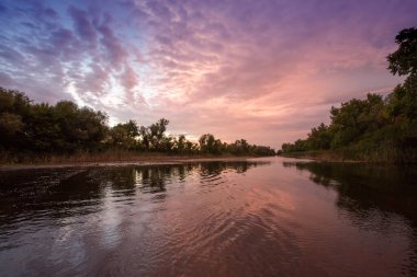 Ormandaki gölde akşam manzarası