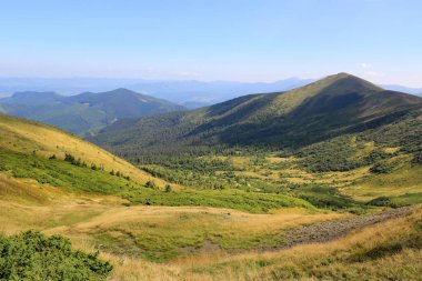 Ukrayna Karpatlar Vadisi 'nde Görünüm