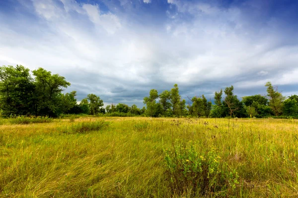 Tempête Avant Pluie Sur Prairie Herbe Dans Steppe Prenez Ukraine — Photo