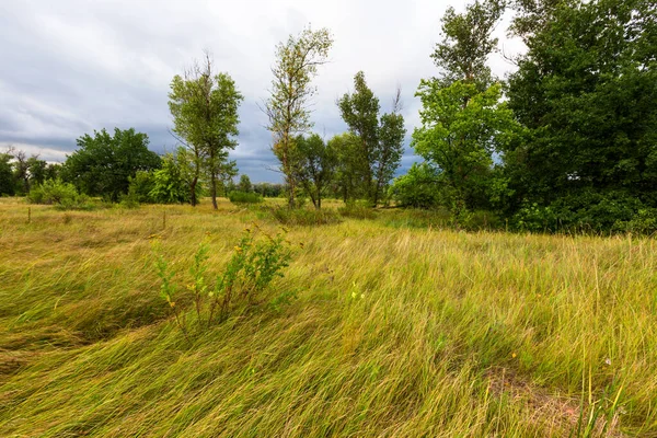 Storm Spring Grass Meadow Steppe — Stock Photo, Image