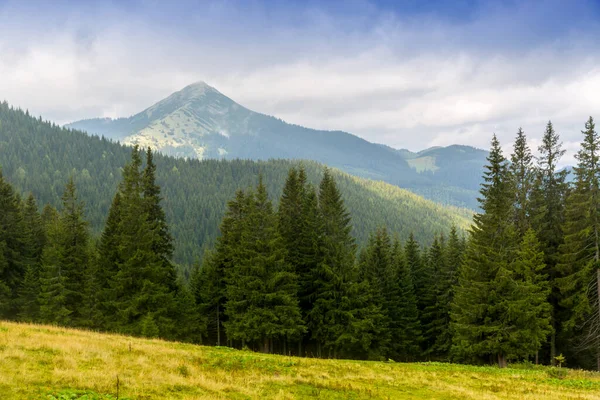Paisagem Agradável Com Floresta Fundo Das Montanhas Leve Cárpatos Ucrânia — Fotografia de Stock