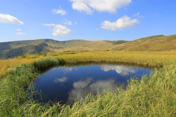 Malé Modré Jezero Karpat Ukrajina — Stock fotografie