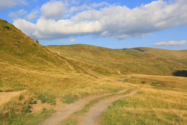 Paesaggio Con Strada Sterrata Attraverso Prato Nelle Montagne Dei Carpazi — Foto Stock