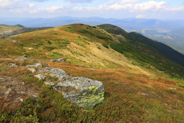 Paisagem Com Sozinho Pedra Velha Prado Cárpatos Ucrânia — Fotografia de Stock