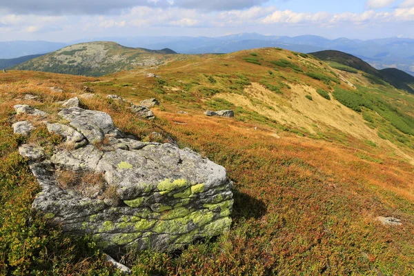 Stary Kamień Łące Szczycie Góry Karpatach Ukraina — Zdjęcie stockowe