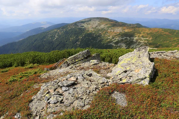 Landschaft Mit Alten Steinen Auf Dem Gipfel Der Karpaten — Stockfoto