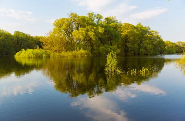 Bel Paesaggio Tranquillo Primaverile Sul Lago — Foto Stock
