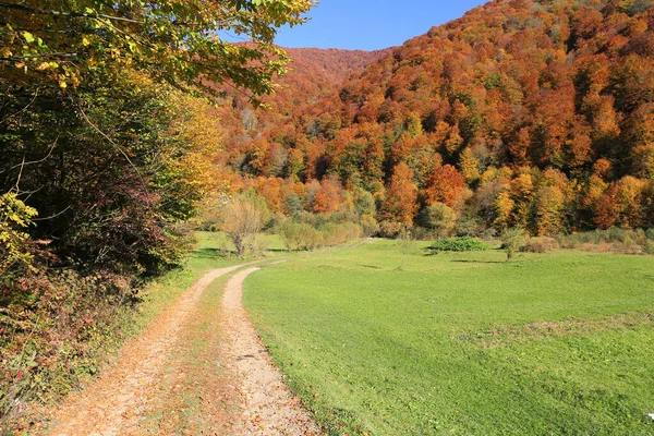 Herbstliche Lampenlandschaft Mit Trampelpfad Über Die Wiese Den Bergen Karpaten — Stockfoto