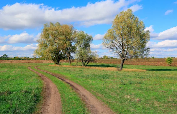 Krajobraz Rut Drogowego Stepie Ładny Słoneczny Dzień — Zdjęcie stockowe