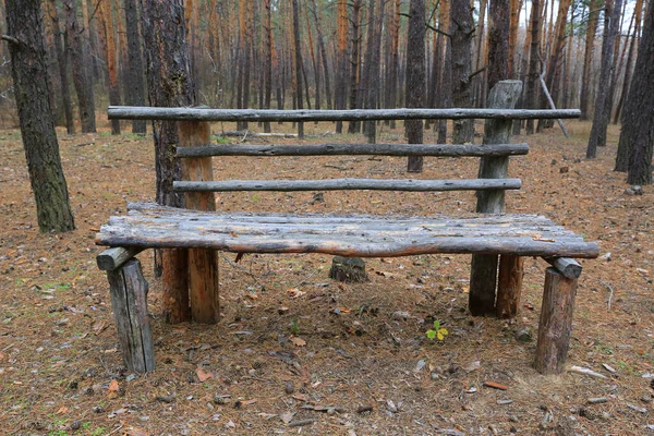 Drewniana Ławka Lesie Sosnowym — Zdjęcie stockowe