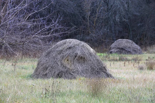 Dry Haystack Farming Meadow Late Autumn — Stock Photo, Image