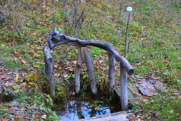 spring with clean drinking water on meadow in  autumn forest. Glass on twig