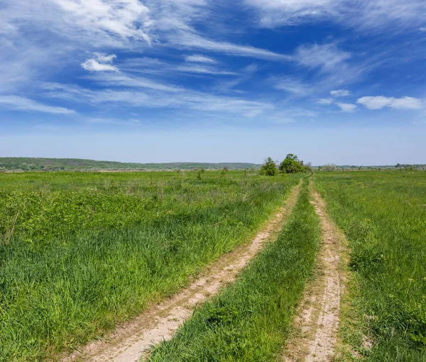 Landskap Med Gångväg Sommaren Stäpp Bland Grönt Gräs Vacker Himmel — Stockfoto