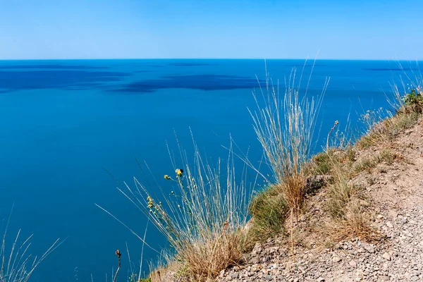 Torrt Gräs Havet Strand Blå Vatten Bakgrund — Stockfoto