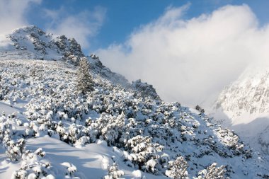 Hight Tatras 'ta dağ yamacında kar, Slovakya' da kış
